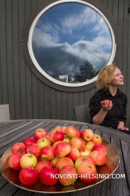 �� ����� ���� ���������